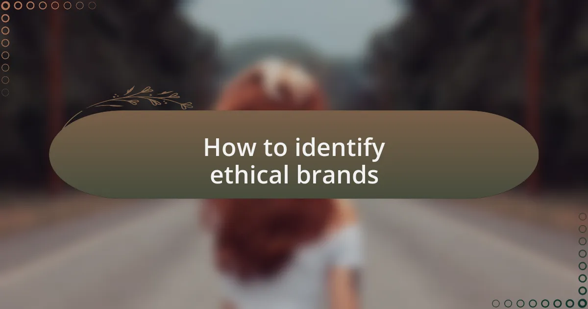 How to identify ethical brands